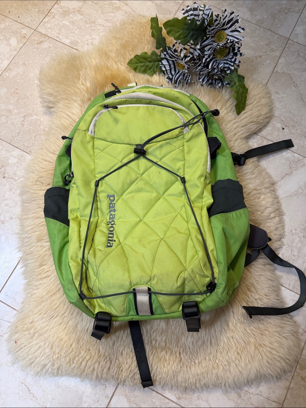 Patagonia Lime Green  Outdoor Daypack
